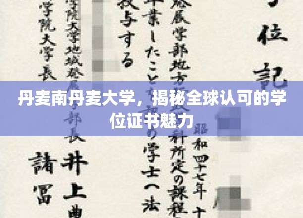 揭开南丹麦大学学位证书的全球吸引力之谜