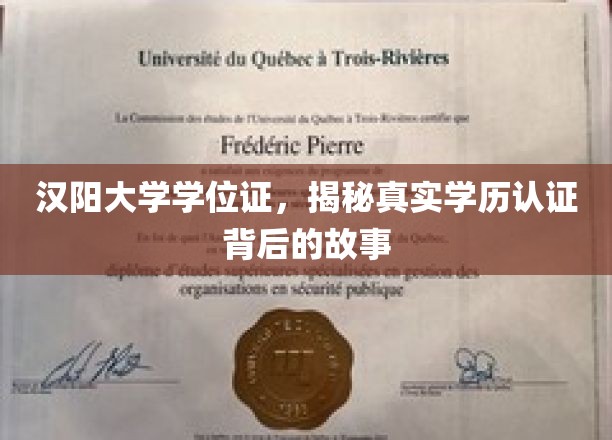汉阳大学学位证书，揭秘真实学历认证背后的故事