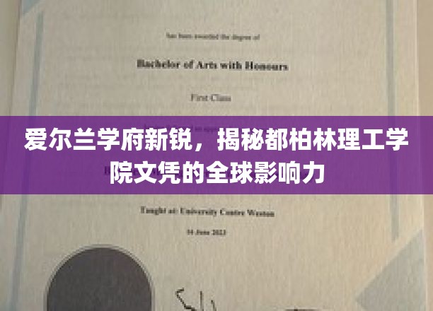 全球视野下的都柏林理工学院，文凭之光闪耀世界舞台
