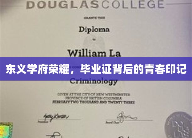 东义学府辉煌足迹，毕业证书映照青春篇章