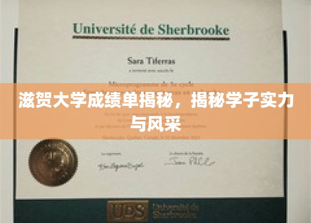 滋贺大学学子风采大揭秘，成绩单背后的实力与荣耀
