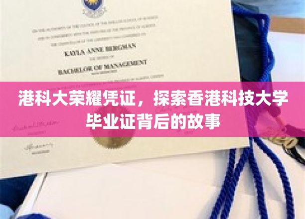 解码港科大荣光，一纸毕业证背后的传奇旅程