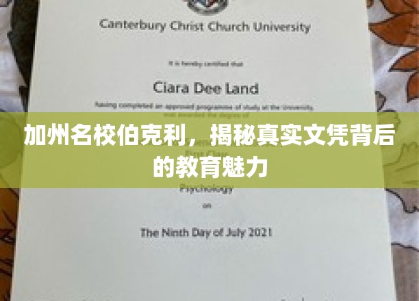 伯克利之光，解码加州名校文凭背后的教育魔力
