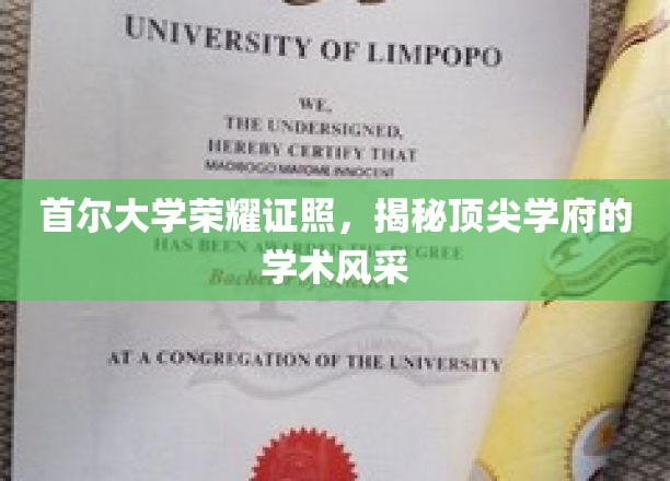 首尔大学骄人文凭，一窥名校学术魅力之光
