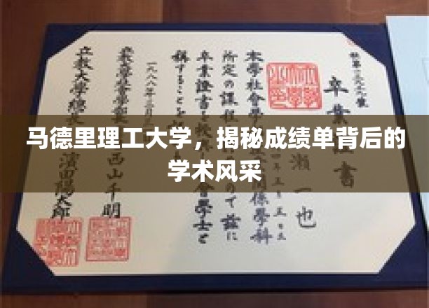 马德里理工风采揭秘，成绩单背后的学术实力一览
