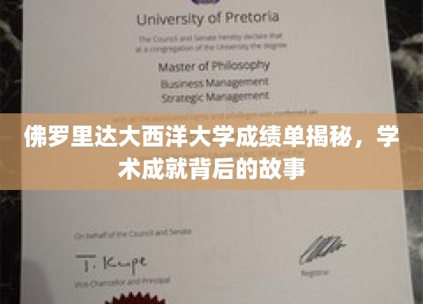 佛罗里达大西洋大学成绩单揭秘，学术成就背后的故事
