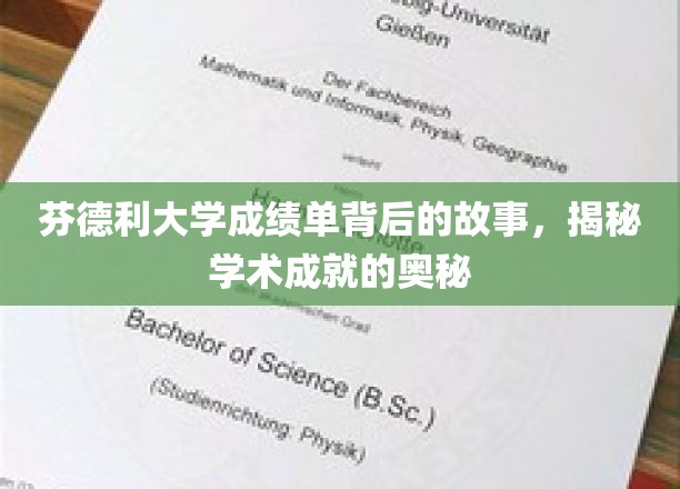 揭开芬德利大学成绩单背后的璀璨奥秘