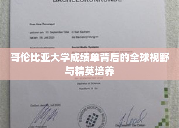 哥伦比亚大学成绩单背后的全球视野与精英培养