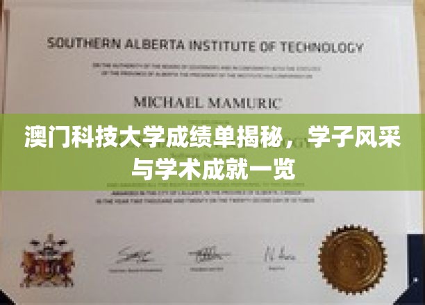 澳门科技大学成绩单解析，学子风采与学术成就尽收眼底