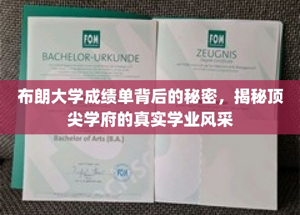 布朗大学成绩单揭幕，一窥精英教育的卓越与风采