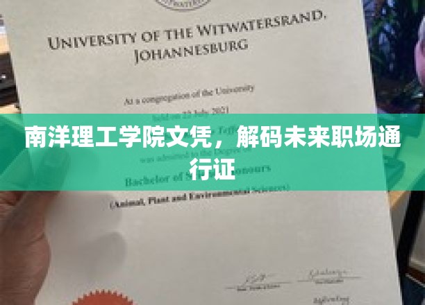 南洋理工文凭，开启职场新纪元的全球通行证