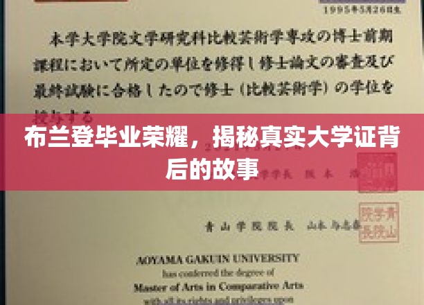 毕业荣耀背后的秘密，布兰登的真实大学证传奇