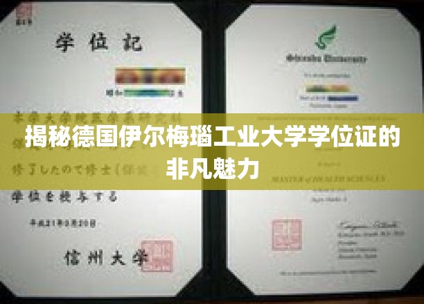 揭秘德国伊尔梅瑙工业大学学位证的非凡魅力