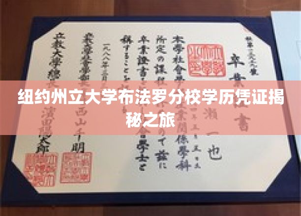 探秘纽约州立大学布法罗分校，学历凭证背后的传奇故事