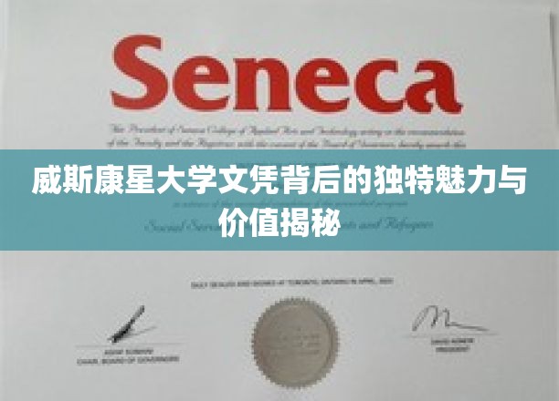 威斯康星大学文凭的独特魅力与价值解析