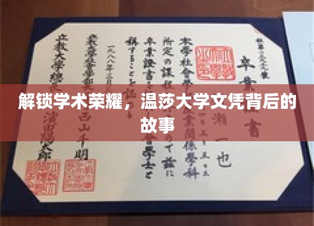 解锁学术荣耀，温莎大学文凭背后的故事