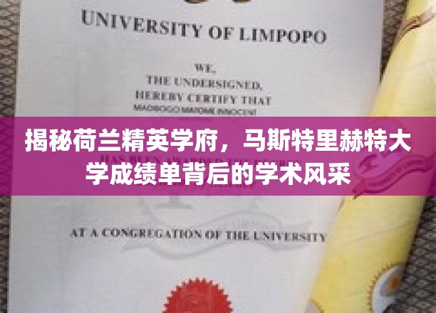 探寻马斯特里赫特大学，成绩单背后的卓越学术魅力