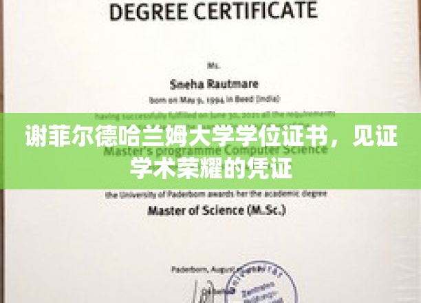 谢菲尔德哈兰姆大学荣耀证书，承载学术成就的见证之章