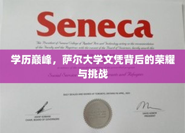 萨尔大学荣耀之路，学历巅峰背后的辉煌与试炼