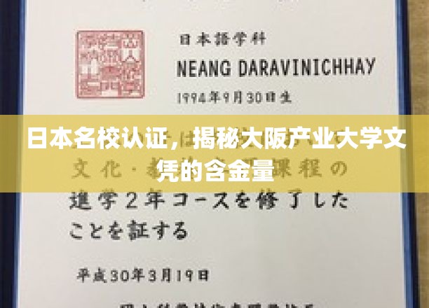 大阪产业大学文凭价值解析，日本名校认证背后的实力与潜力