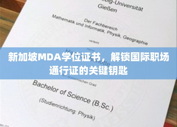 新加坡MDA学位，开启全球职场自由行的金钥匙