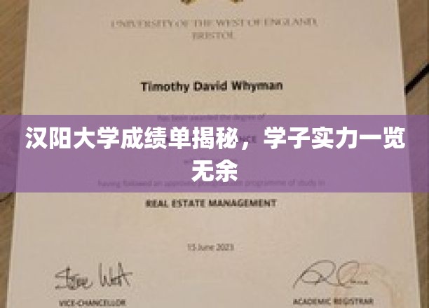 汉阳大学成绩单揭秘，学子实力一览无余