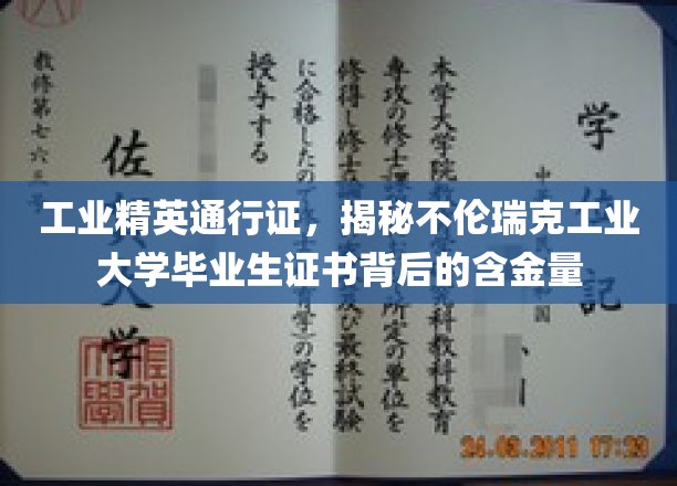 解码不伦瑞克工业大学证书，工业精英背后的非凡价值