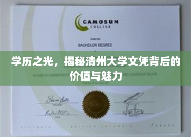 清州大学文凭，揭开学历背后的璀璨价值与独特魅力