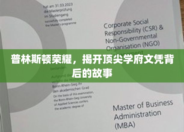 普林斯顿光环，探索精英学位背后的传奇与挑战