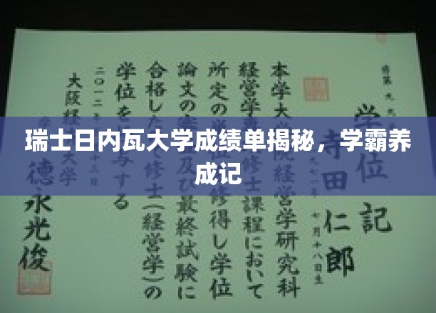 瑞士日内瓦大学成绩单深度解析，学霸之路的启示