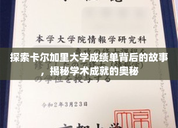解码卡尔加里大学成绩单，探寻学术辉煌的秘境