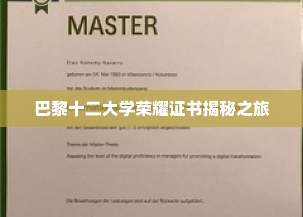 探寻巴黎十二大学荣耀证书背后的传奇故事