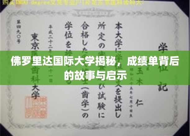 探索佛罗里达国际大学，揭开成绩单背后的真实奥秘与成长启示