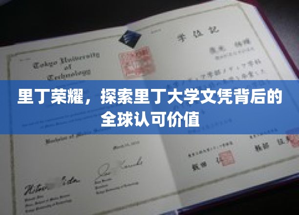 解码里丁荣耀，揭秘国际文凭的全球通行证价值