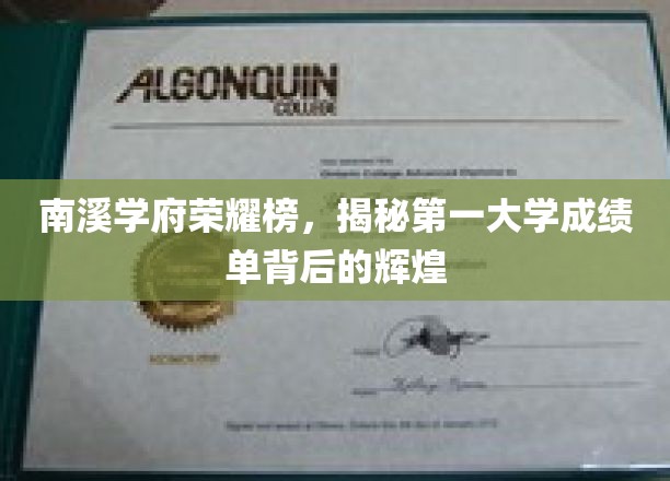 南溪学府骄子荣耀，探秘榜首学霸的卓越成绩之路