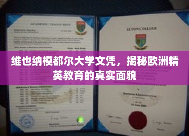 探寻维也纳模都尔大学文凭背后的欧洲精英教育精髓