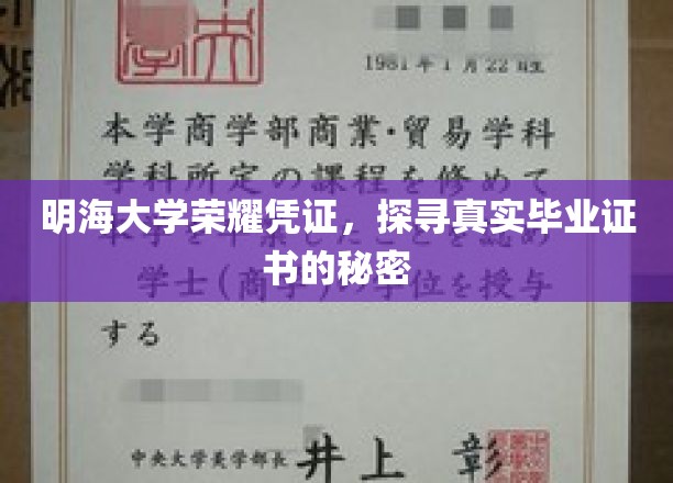 揭开明海大学荣耀凭证之谜，毕业证书背后的真实故事