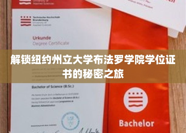 解锁纽约州立大学布法罗学院学位证书的秘密之旅