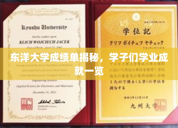 东洋大学成绩单揭秘，学子们学业成就一览