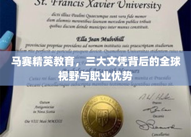 解码马赛精英，三大文凭铸就国际舞台上的璀璨未来