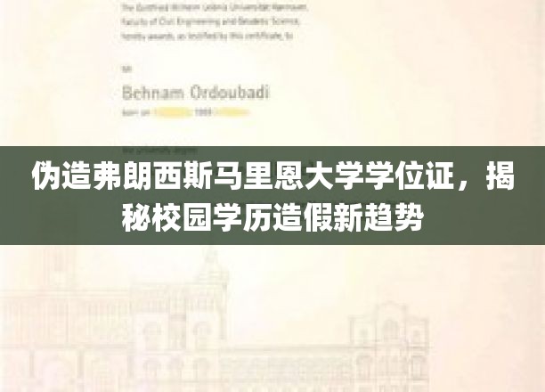 校园学历造假新风向，伪造弗朗西斯马里恩大学学位证，揭秘学历证书滥用乱象