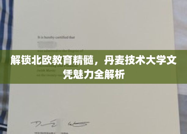 揭秘丹麦技术大学文凭背后的北欧教育智慧