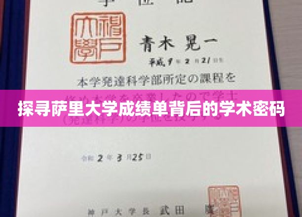 解码萨里大学成绩单，揭秘学术成就的神秘面纱