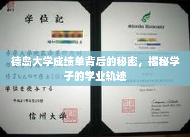 解码德岛大学成绩单，学子成长轨迹的隐藏线索