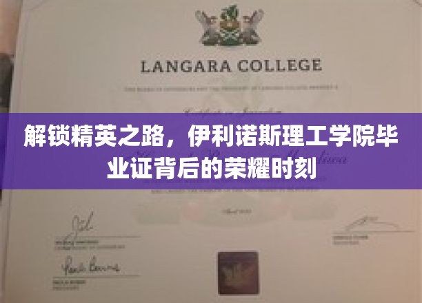 解锁精英之路，伊利诺斯理工学院毕业证背后的荣耀时刻
