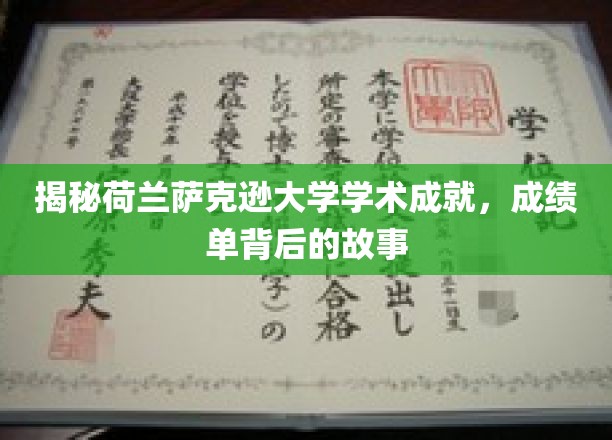 揭秘荷兰萨克逊大学学术成就，成绩单背后的故事