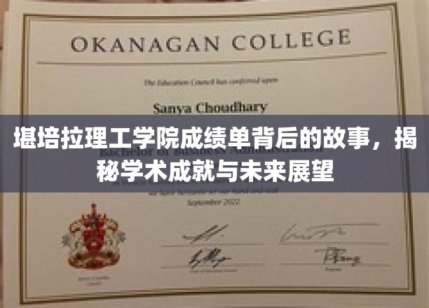 堪培拉理工学院成绩单背后的故事，揭秘学术成就与未来展望