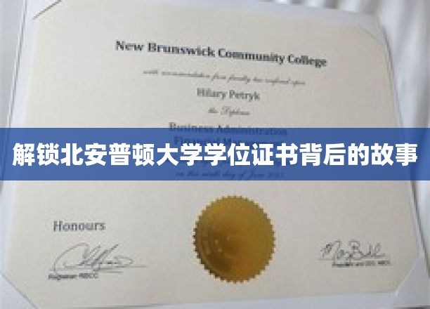 探寻北安普顿大学学位证书的神秘面纱