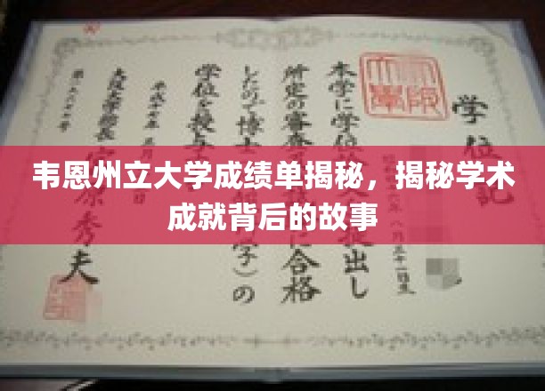 韦恩州立大学成绩单揭秘，探寻学术成就背后的故事
