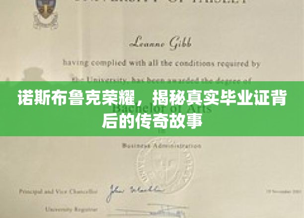 诺斯布鲁克荣耀，探寻毕业证背后的真实传奇故事